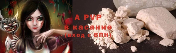 a pvp Аркадак