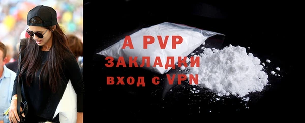 a pvp Аркадак