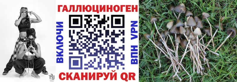 Галлюциногенные грибы ЛСД Данилов