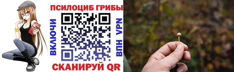Купить закладки  Данилов  Галлюциногенные грибы Psilocybe 